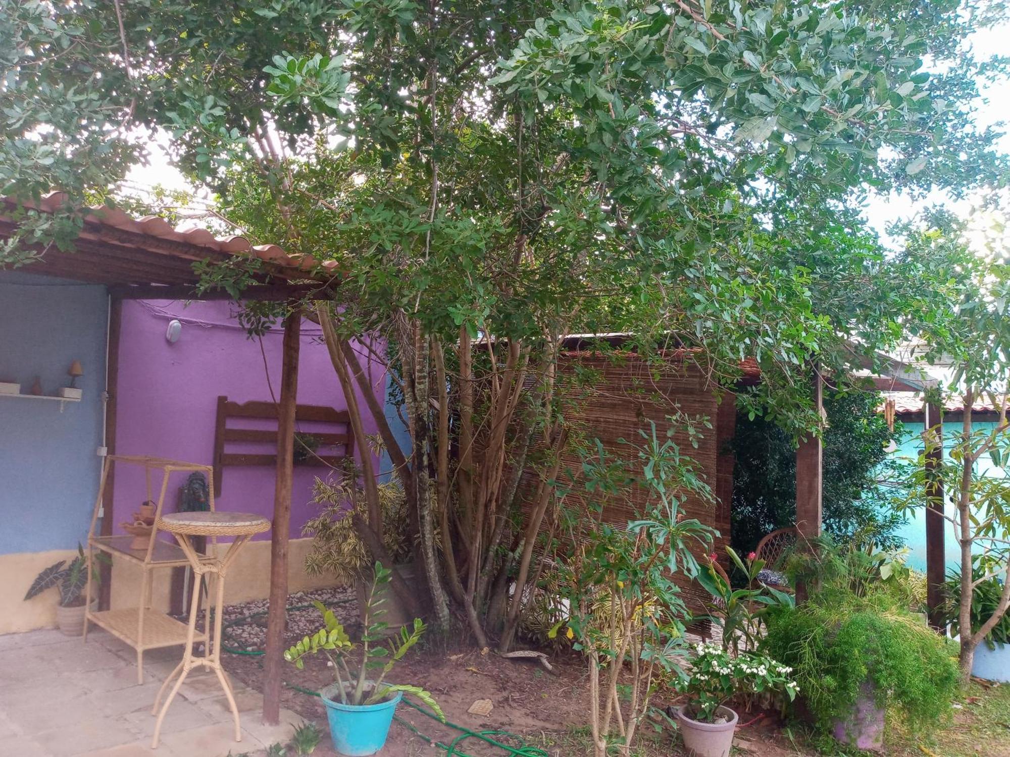 Zen Villas - Chales, Bem-Estar E Conexao Com A Natureza 라우로 데 프레이타스 외부 사진